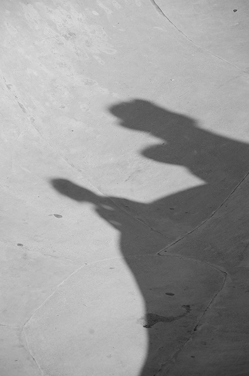 DSC_0352
