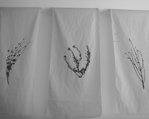 flags-3