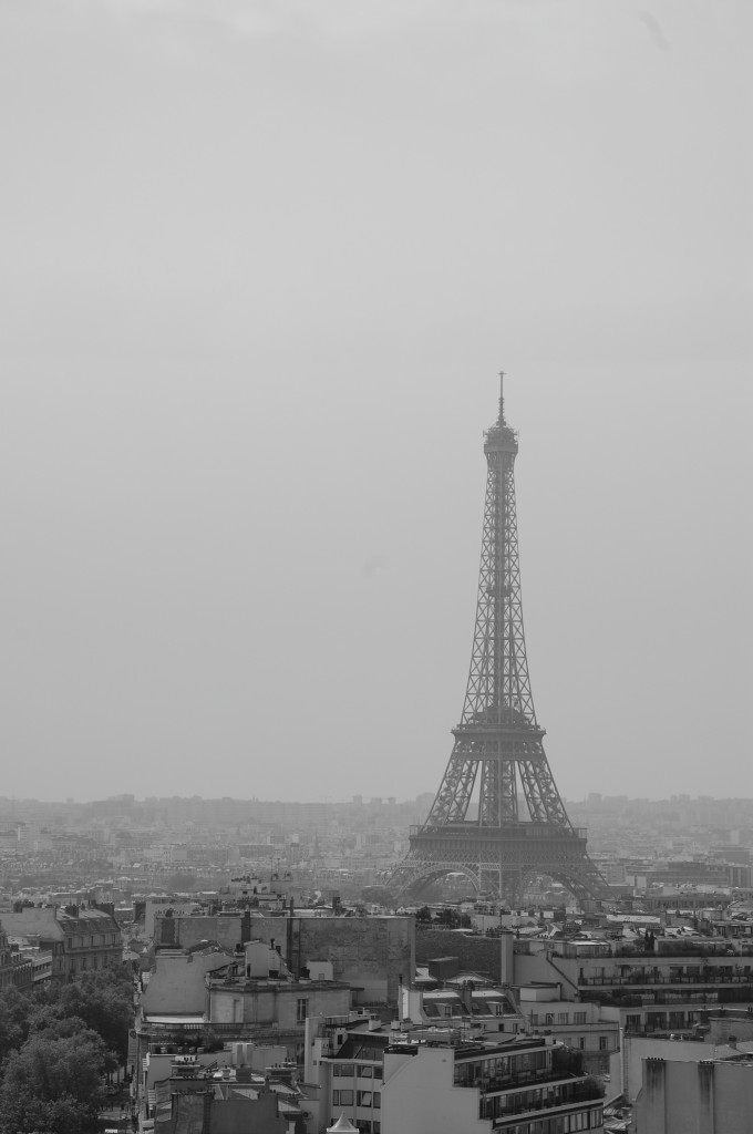 DSC_0413